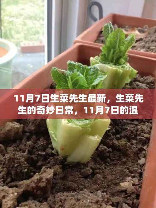 第776页