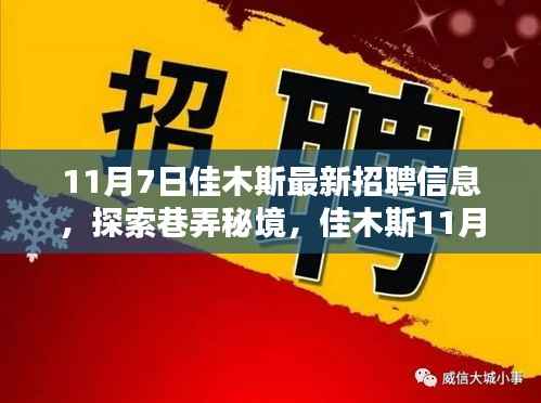 佳木斯11月7日招聘信息揭秘，巷弄秘境中的职业机会探索