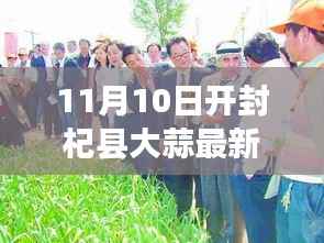 开封杞县大蒜行情解析,最新市场动态与行情指南(11月10日)