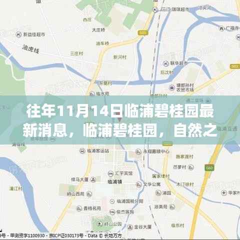 悠然自得 第7页