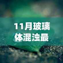 探索自然美景之旅，揭秘最新治疗玻璃体混浊特效药，寻找心灵的宁静与宁静之旅