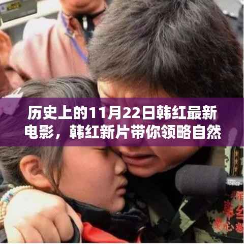 韩红新片启程,自然之美的探寻与内心宁静港湾11月22日上映