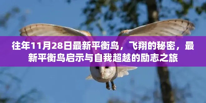 在线留言 第294页