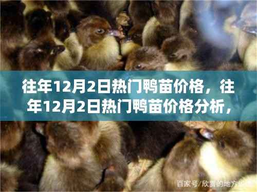 森久 第3页