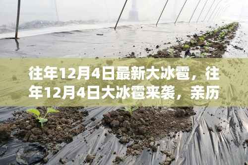 张牙舞爪 第2页
