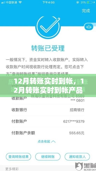 轻徙鸟举 第2页