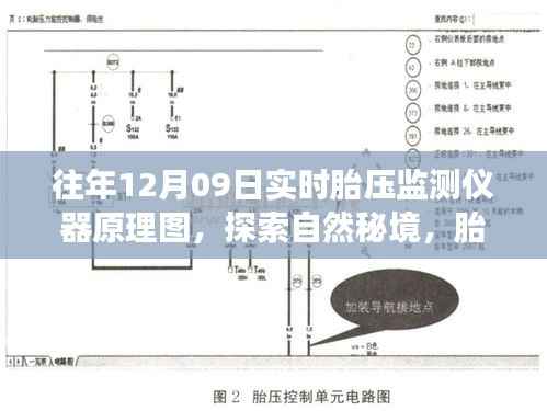 揭秘胎压监测仪器工作原理,探索自然秘境的心灵之旅与奇妙旅程