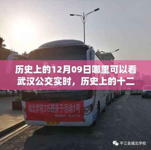 历史上的十二月九日武汉公交实时信息的可查性与争议,深度解析当日实时公交查询渠道及争议焦点