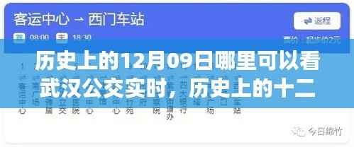 历史上的十二月九日武汉公交实时信息的可查性与争议,深度解析当日实时公交查询渠道及争议焦点