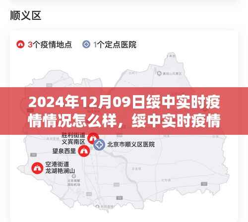 绥中实时疫情报告,聚焦2024年12月09日的详细分析与讨论