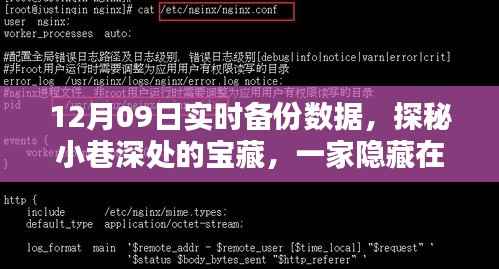 时光宝藏,数据备份特色小店的秘密与实时备份之旅(12月09日)