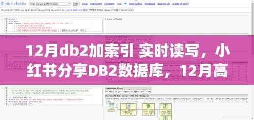 荣华富贵 第4页