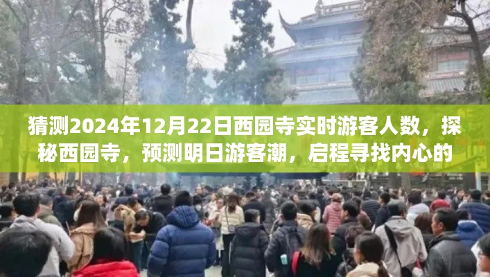 探秘西园寺,预测明日游客潮,启程寻找心灵的宁静之旅(实时游客人数预测)