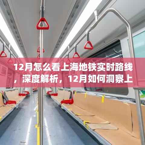 深度解析,如何实时掌握上海地铁路线动态——我的观点分享