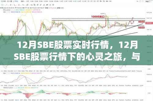 12月SBE股票行情下的心灵与自然之旅,实时动态与内心平静的探寻