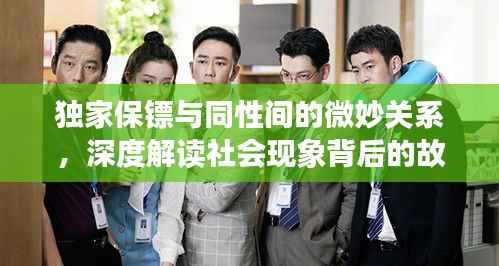 独家保镖与同性间的微妙关系,深度解读社会现象背后的故事