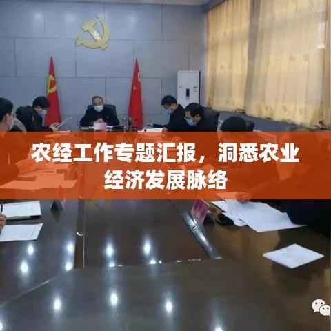 农经工作专题汇报,洞悉农业经济发展脉络