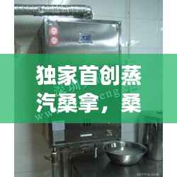 独家首创蒸汽桑拿,桑拿蒸汽机使用说明