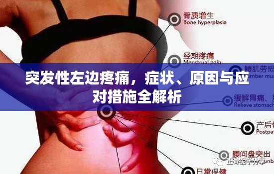 突发性左边疼痛,症状、原因与应对措施全解析