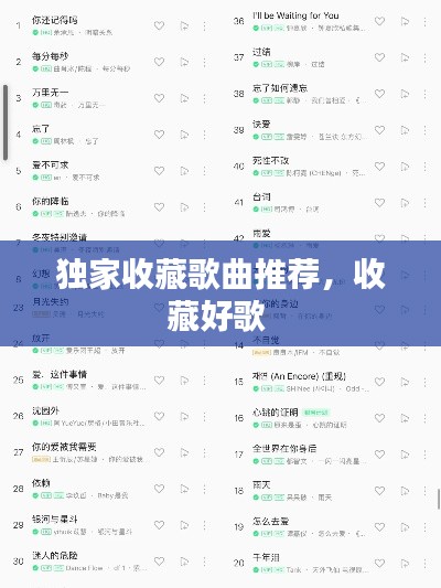 独家收藏歌曲推荐,收藏好歌