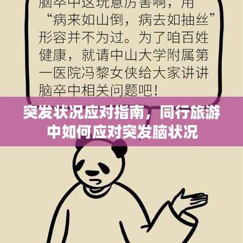 突发状况应对指南,同行旅游中如何应对突发脑状况