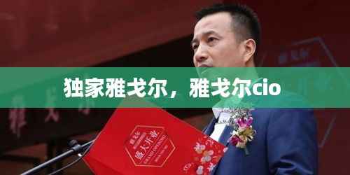 独家雅戈尔，雅戈尔cio 