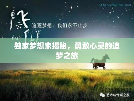 独家梦想家揭秘，勇敢心灵的追梦之旅