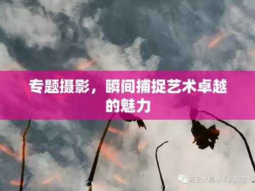 专题摄影,瞬间捕捉艺术卓越的魅力