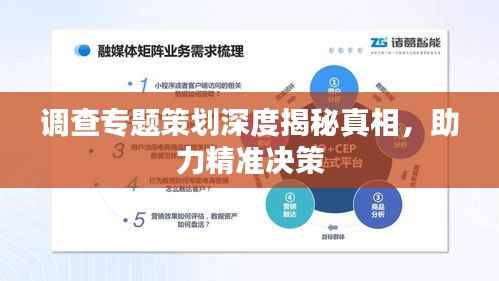 调查专题策划深度揭秘真相，助力精准决策