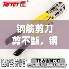钢筋剪刀剪不断,钢筋剪子不齐怎么调