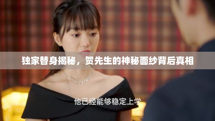 独家替身揭秘,贺先生的神秘面纱背后真相