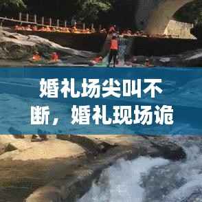 婚礼场尖叫不断,婚礼现场诡异声音