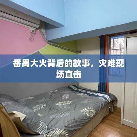 番禺大火背后的故事,灾难现场直击