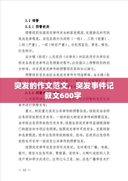 突发的作文范文，突发事件记叙文600字 