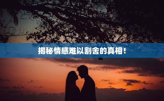 揭秘情感难以割舍的真相!