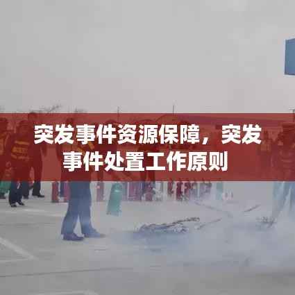 突发事件资源保障,突发事件处置工作原则