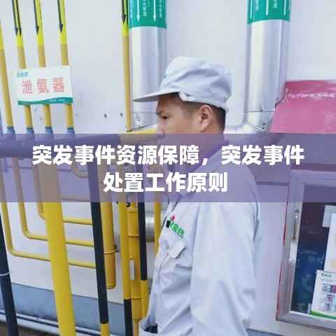 突发事件资源保障,突发事件处置工作原则