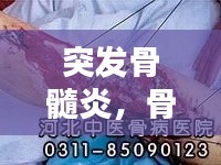 第1210页