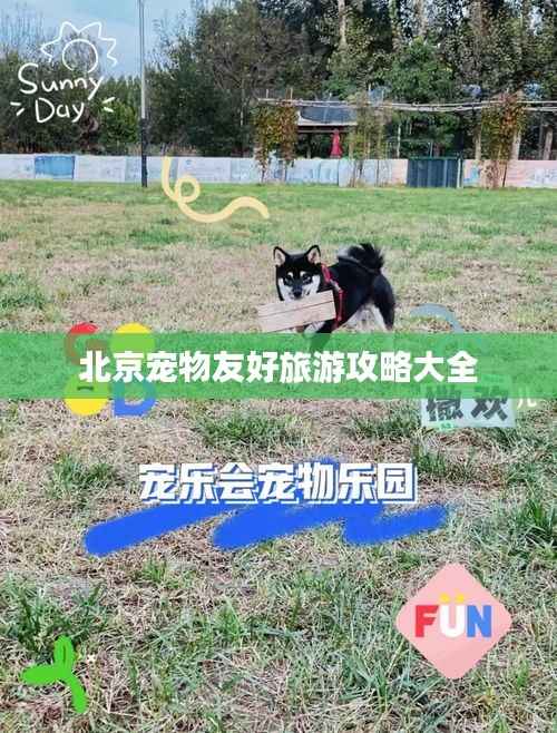 在线留言 第166页