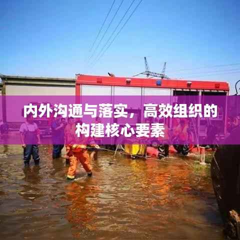 内外沟通与落实,高效组织的构建核心要素