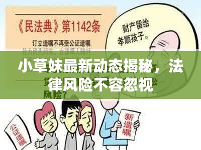 小草妹最新动态揭秘,法律风险不容忽视