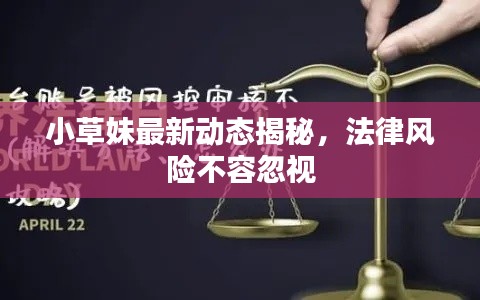 小草妹最新动态揭秘,法律风险不容忽视