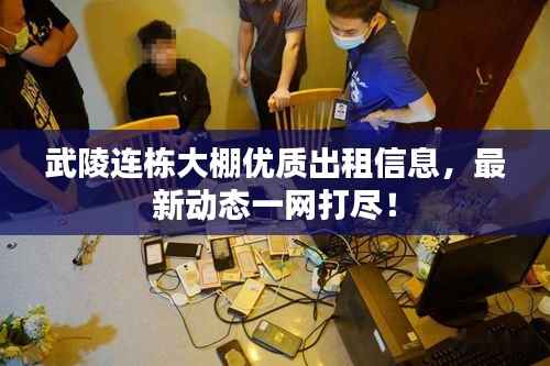 武陵连栋大棚优质出租信息,最新动态一网打尽!