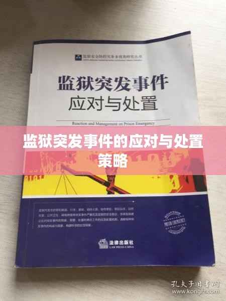 监狱突发事件的应对与处置策略