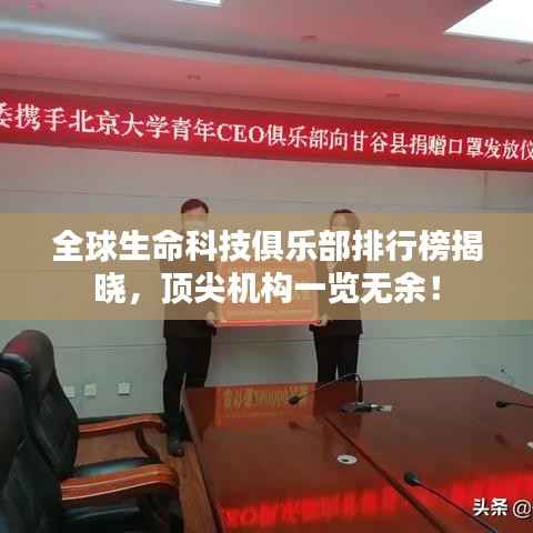羊肠鸟道 第2页