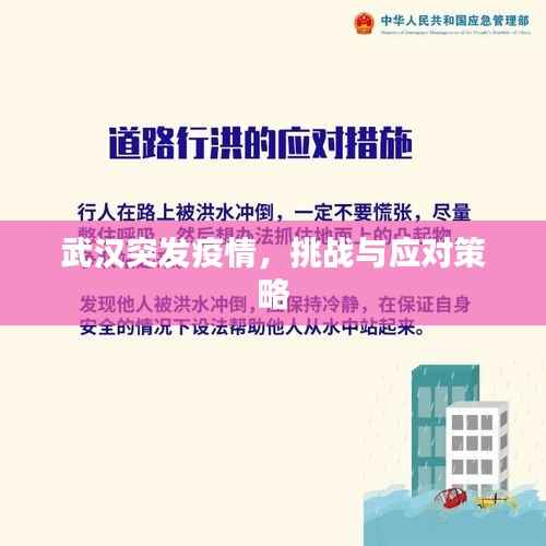 武汉突发疫情，挑战与应对策略