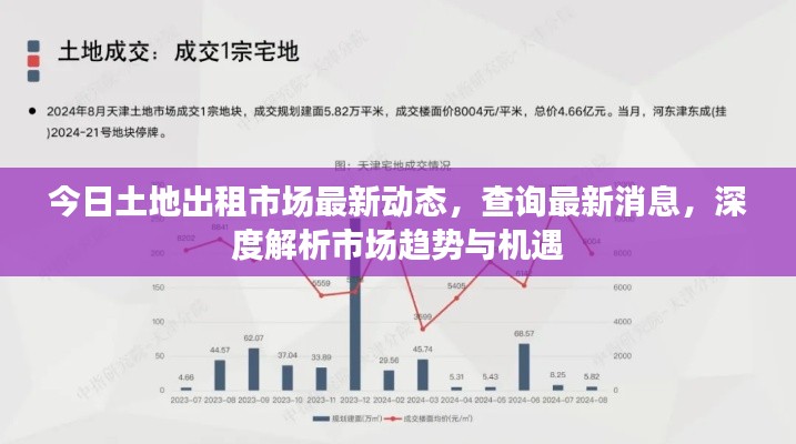 今日土地出租市场最新动态，查询最新消息，深度解析市场趋势与机遇