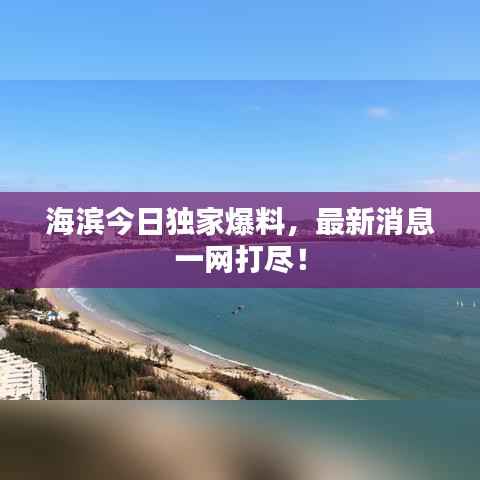 海滨今日独家爆料，最新消息一网打尽！