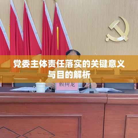 党委主体责任落实的关键意义与目的解析