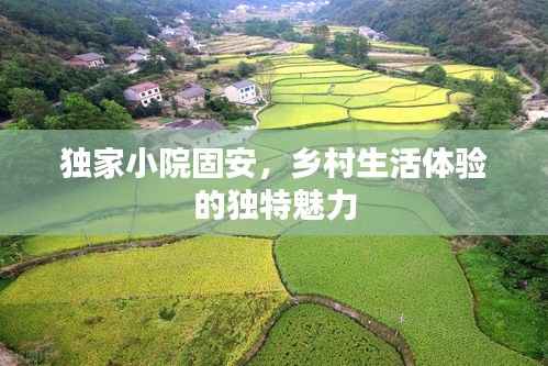 张皇失措 第2页